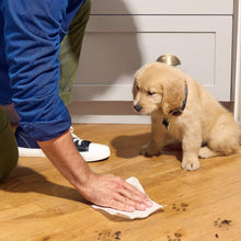 Bounty Advanced paper towel used to wipe hardwood floor, dog standing nearby