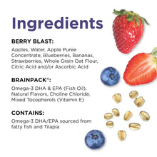 Fruit and oat smoothie ingredients label with strawberries, blueberries, and oat icons