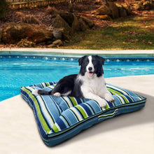 Low-profile outdoor pet bed with teal and green striped cushion and dark blue piping