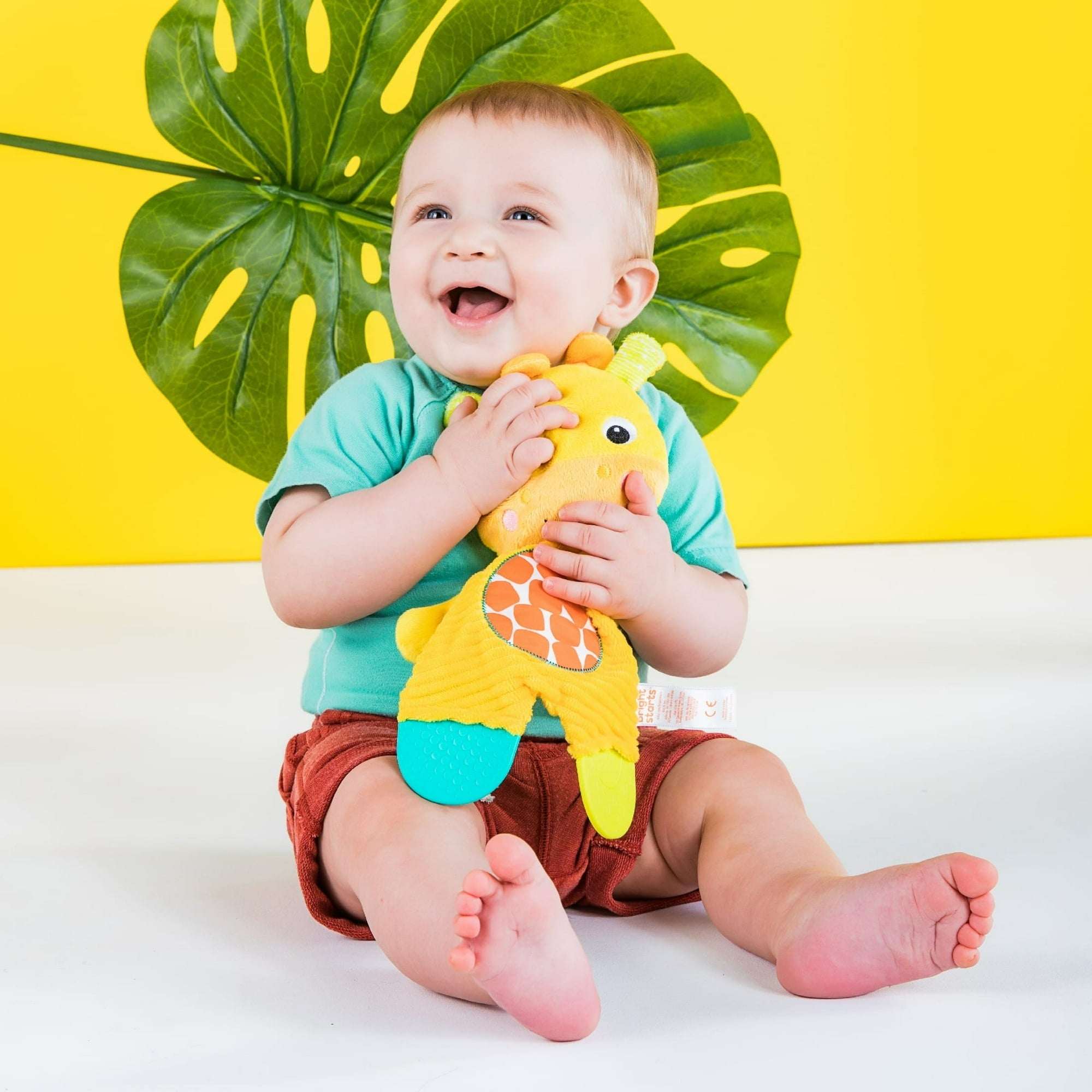 Bright Starts Snuggle & Teethe Plush Teether - Unisex, Ages Newborn +
