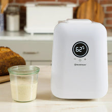 Compact white sourdough home device with 80°F digital display and starter jar
