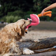 Flamingo rope dog toy in pink and orange as a dog plays outdoors