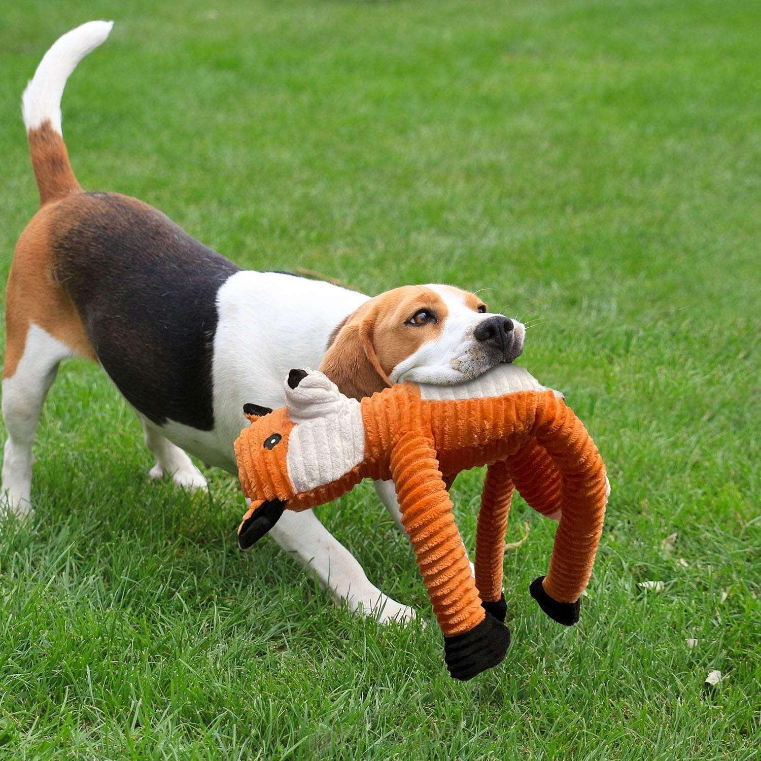 Buddy Buddy Fox Long Rope Dog Toy