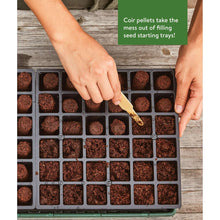 Hands placing brown seed-starting pellets into tray cells for indoor starting