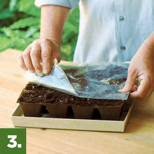 Seed starting mix in cardboard tray with hands spreading dark soil