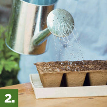 Water pouring onto seedling mix in a tray, with small cups visible