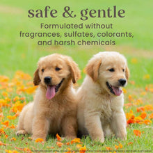 Safe and gentle oatmeal dog shampoo promo with two golden retriever puppies