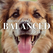 Dog shampoo label with close-up dog face and text