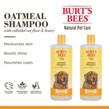Oatmeal dog shampoo two-pack bottles with Burt's Bees natural pet care benefits text