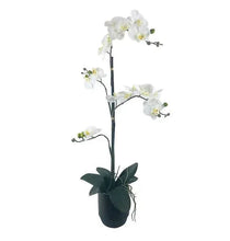 Artificial cream orchid arrangement in dark ceramic pot, with green leaves