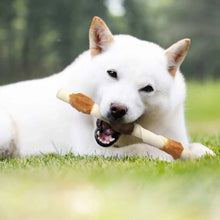 White dog lying with a bone-shaped shish kabob treat held in its mouth