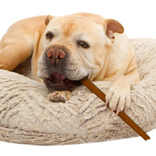 Cream dog lying on blanket holding a brown bully hide chew stick
