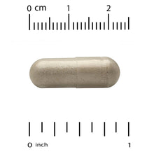Beige veggie capsule shown beside centimeter and inch rulers