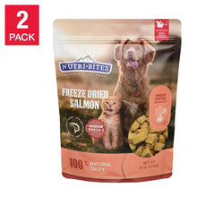 Freeze-dried salmon pet treat pouch with dog and cat graphics, 18 oz