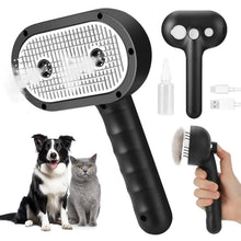 Black handheld steam grooming brush with oval head, spray bottle, and USB cable