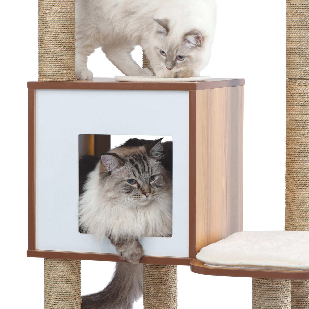 Catit Vesper High Base XL 62 inch Cat Tree, 5 Levels and 1 Condo, Walnut - USA MEGA SHOP