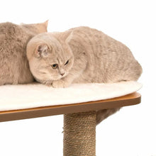 Cat tree top perch with white plush pad and rope-wrapped center post