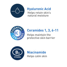 Facial cleanser ingredient benefits icons for hyaluronic acid, ceramides, niacinamide