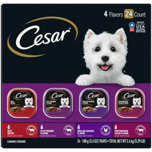 Cesar wet dog food variety pack box, 4 flavors, 24 count
