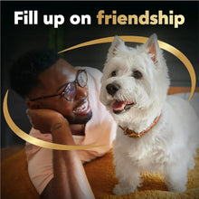 White dog with human beside it, featuring wet dog food variety pack branding