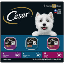 Cesar variety pack wet dog food trays, three flavors with 24 count dog portrait