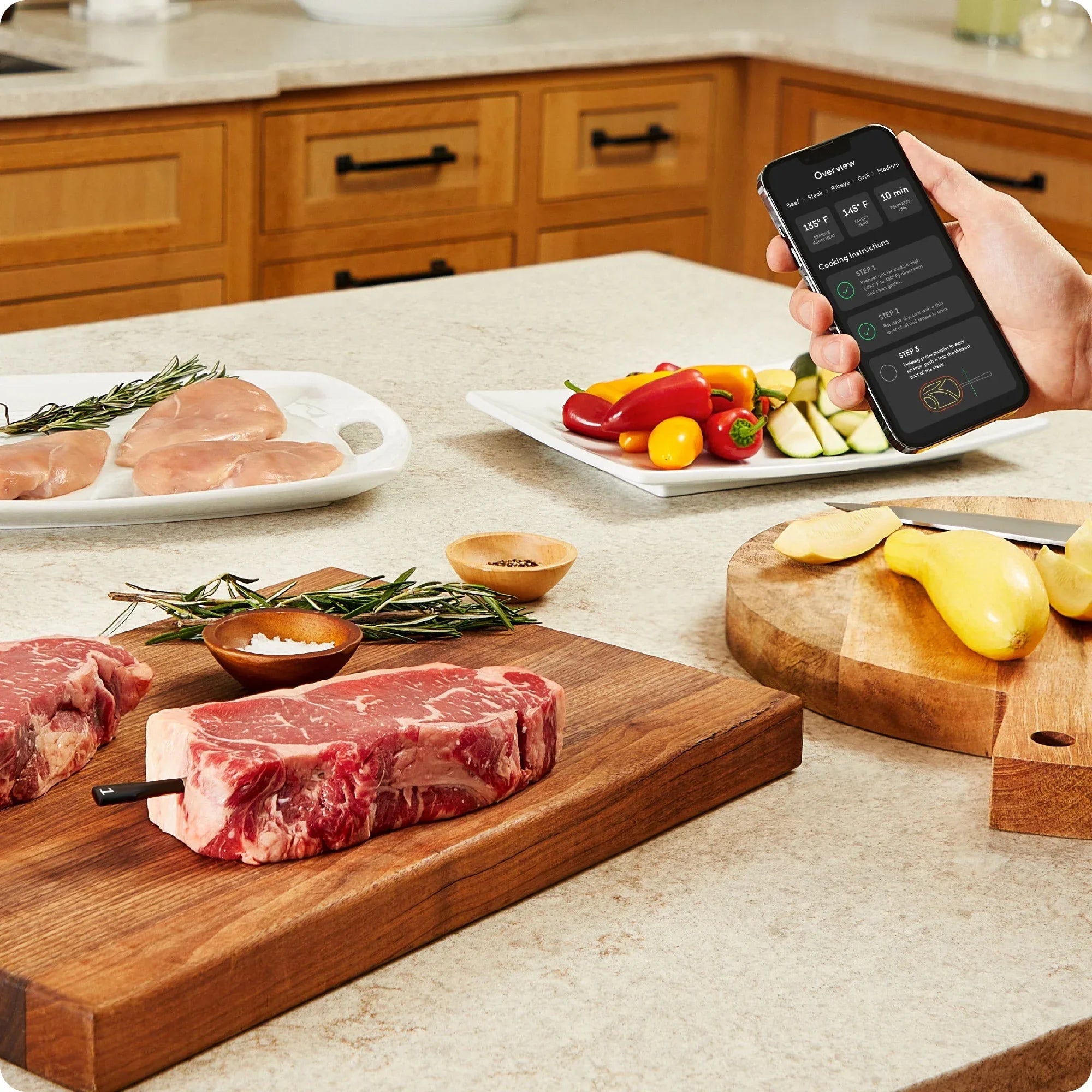 Chef iQ Smart Thermometer and Hub, 2-probe Set - USA MEGA SHOP