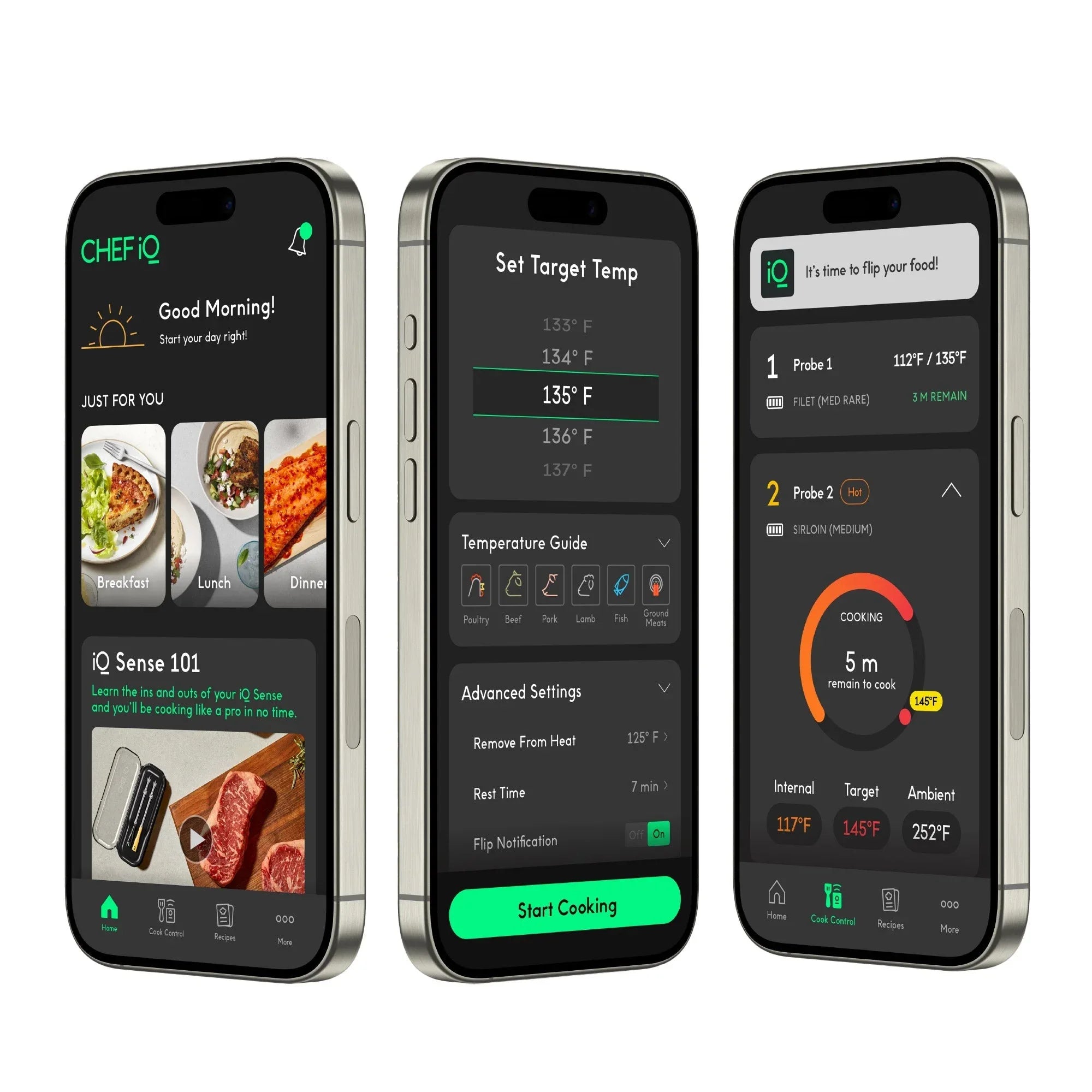 Chef iQ Smart Thermometer and Hub, 2-probe Set - USA MEGA SHOP
