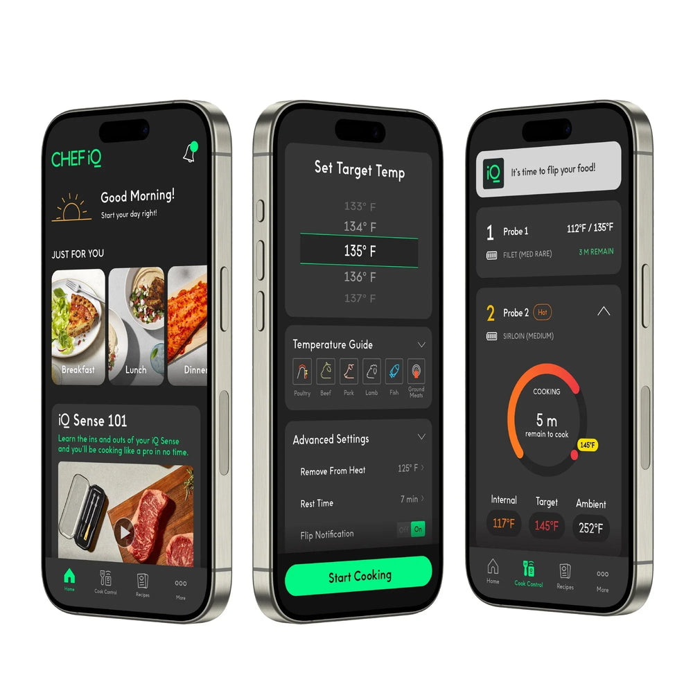 Chef iQ Smart Thermometer and Hub, 2-probe Set - USA MEGA SHOP