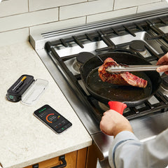 Chef iQ Smart Thermometer and Hub, 2-probe Set - USA MEGA SHOP