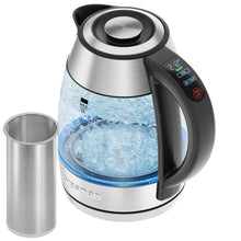 Electric kettle with removable mesh infuser beside the spout, stainless steel and black