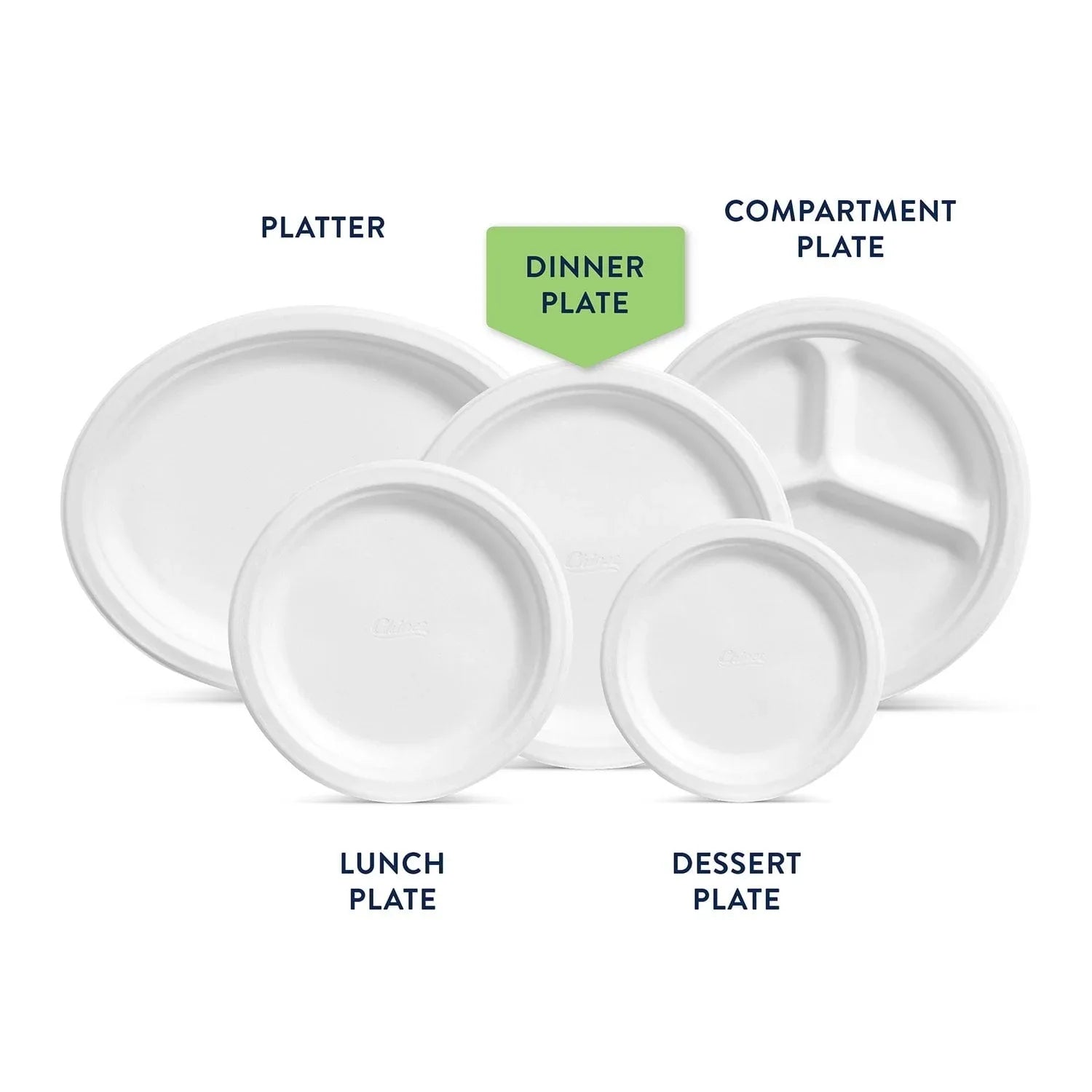 Chinet Classic 10.375" Dinner Plates, 165 ct.