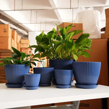 Dark blue ribbed plastic planter with matching saucer, for indoor house plants.