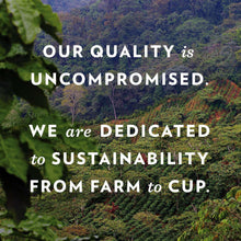 Sustainability-themed coffee farm landscape graphic with forest canopy