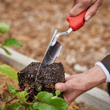 Red-handled hand trowel digging around plants with a soil clump