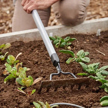 Silver soil cultivator with three tines for loosening dirt near seedlings