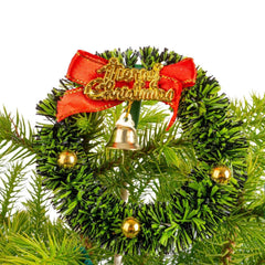 Costa Farms Decorated Norfolk Island Pine Live Christmas Tree, Houseplant in Decor Cover, 2-pack