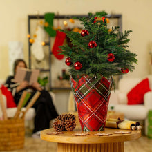 Decorated Norfolk pine tree in red plaid fabric cover with red baubles on table