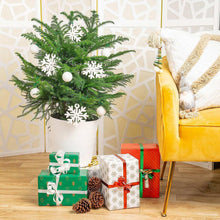 Decorated Norfolk Island pine in textured white planter with snowflake ornaments