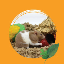 Small pet bedding with light gray paper shreds and a resting rat