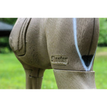 3-D buck target shoulder and head close-up with insert panel