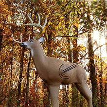3-D buck target with antlers, standing pose in beige