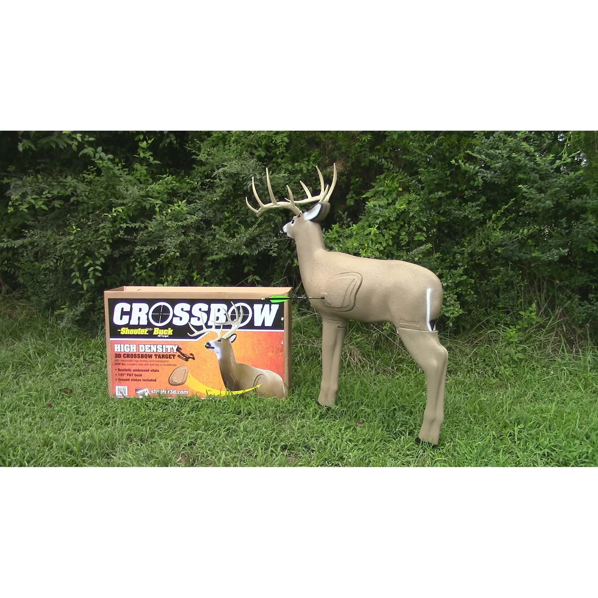 Crossbow Shooter Buck 3-D Target, Special High Density Insert, 48" Tall