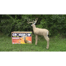 3-D buck target with antlers and packaging box, beige