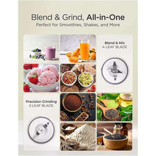 Personal blender kit showing blend and grind cups with blade attachments