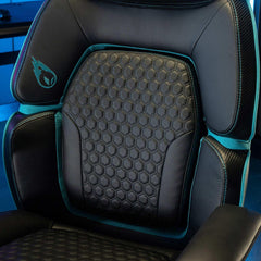 DPS Centurion Gaming Chair with Adjustable Headrest - USA MEGA SHOP