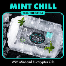Flushable mint chill wipes pack with mint leaf accents, XL wipes in icy wrap