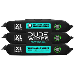 DUDE Flushable Wipes, Extra Large Mint Chill Wet Wipes, 48 Count, 3 Pack (144 Total)