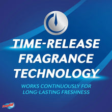Time-release fragrance technology for DampRid Max moisture absorber