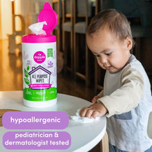 Dapple wipes canister with “hypoallergenic” and “pediatrician & dermatologist tested” badges