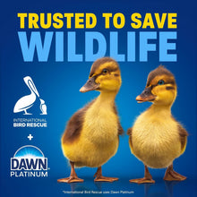 Dawn Platinum dishwashing liquid with two ducklings on packaging, blue bottle